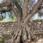 別荘 Le Pietre Di Puglia