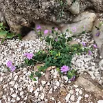 Le Pietre Di Puglia 別荘