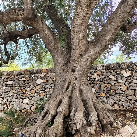 Casa vacanze Le Pietre Di Puglia