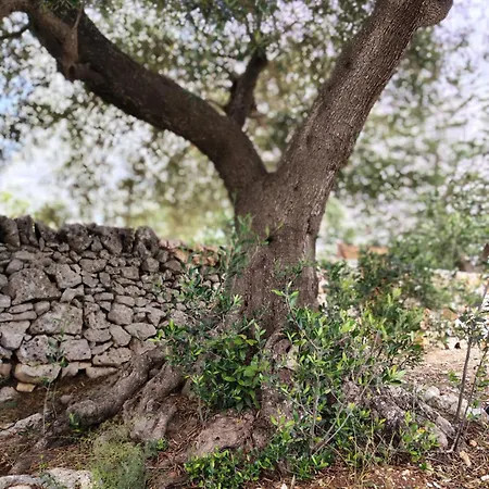 Casa vacanze Le Pietre Di Puglia
