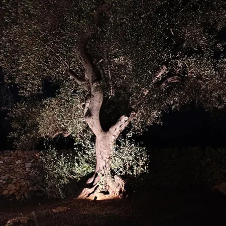 Le Pietre Di Puglia