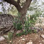 Casa vacanze Le Pietre Di Puglia Ostuni