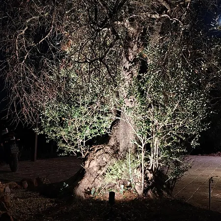 Le Pietre Di Puglia 度假居
